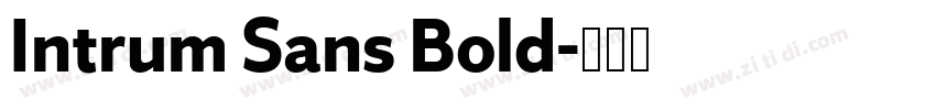 Intrum Sans Bold字体转换